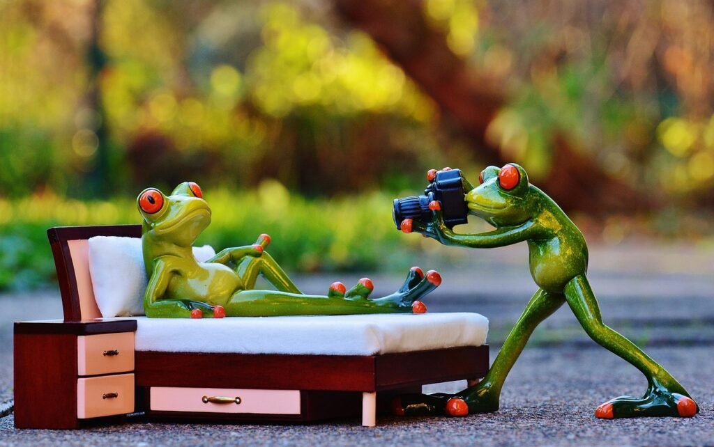 photographer, frog, photo shoot, fun, camera, animal, taking photos, wildlife, nature, cute, frogs, figure, green